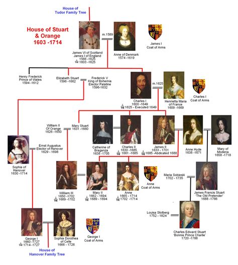 successione tudor stuard|tudor and stuart period.